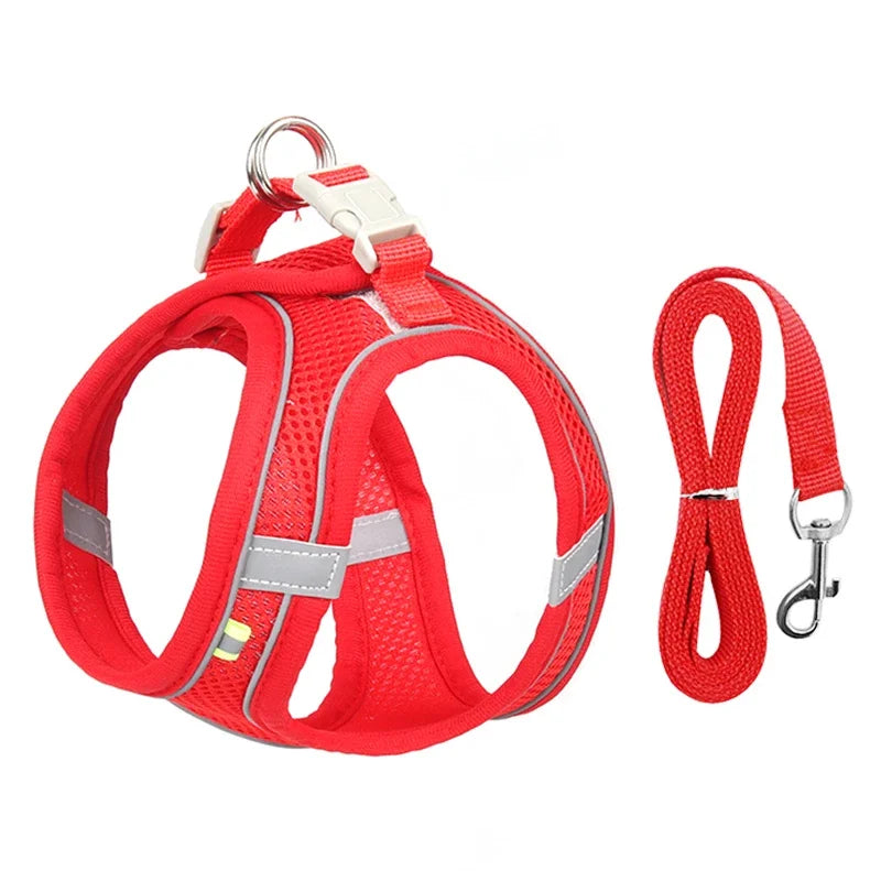 Puppy Collar and Leash Set,  Adjustable for Puppies, Cats and Small Dogs. Comes with Harness Vest.