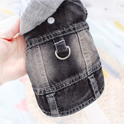 Jeans Hoodie for Small Dogs, Cats & Puppies. Sizes XS - XXL.