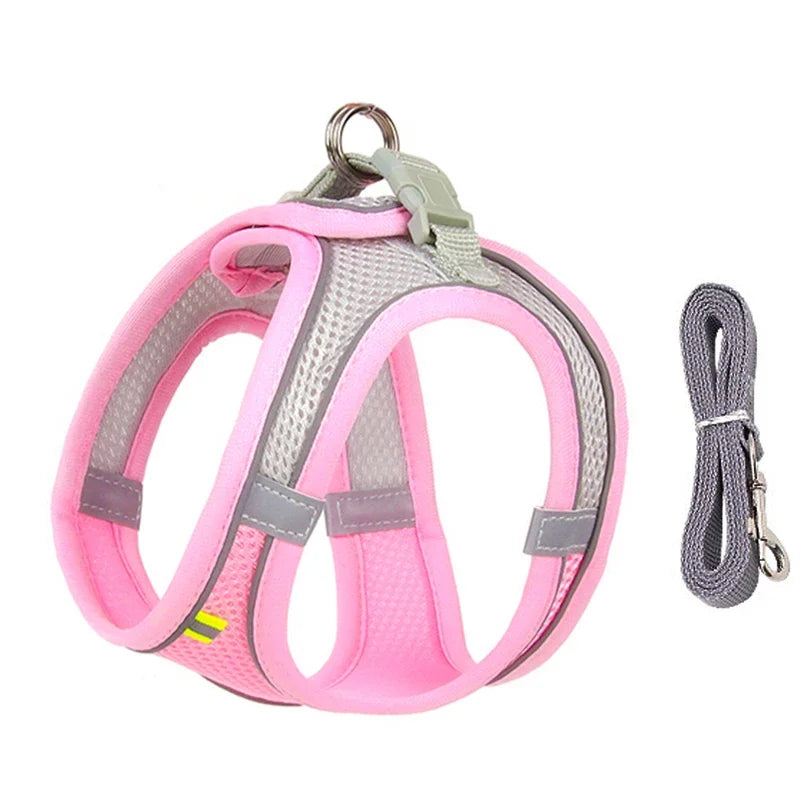 Puppy Collar and Leash Set,  Adjustable for Puppies, Cats and Small Dogs. Comes with Harness Vest.