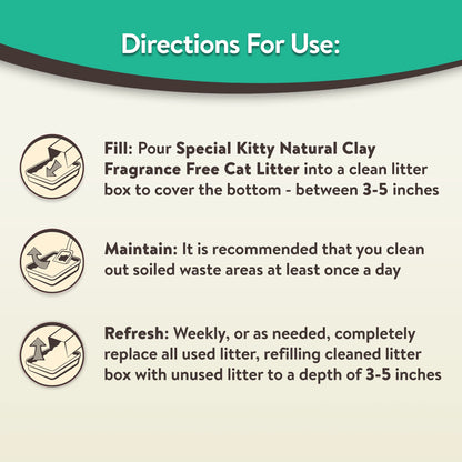 Special Kitty Clay Cat Litter.