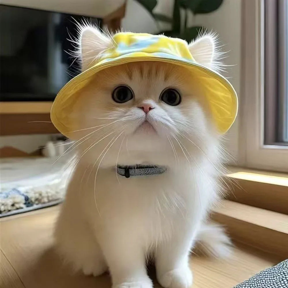 Summer Cat Sun Hat with Ear Holes - Cute Kitten Fisherman Cap for UV Protection, Breathable Outdoor Sunshade Cap for Cats.