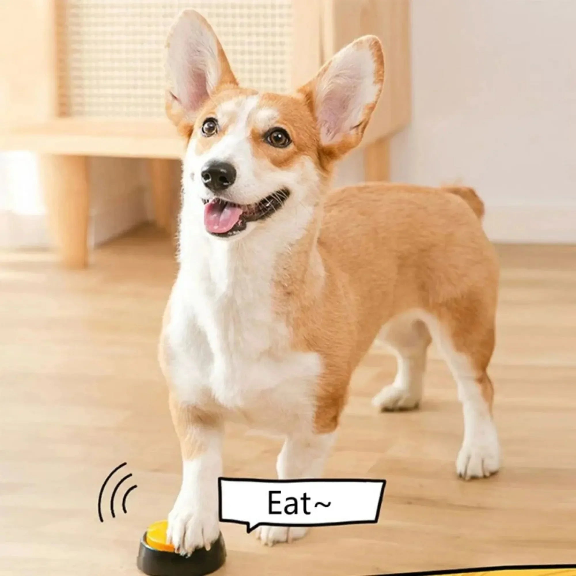 Dog Buttons Voice Recording Button for Pet Training.