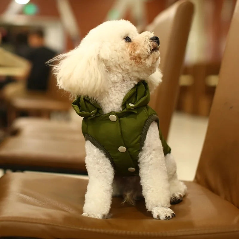 Winter Cotton Waterproof Coat with Hood for Small Dogs and Puppies.