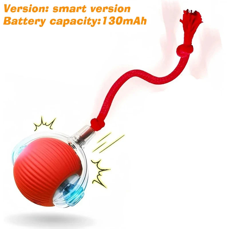 Automatic Rolling Dog Ball Toy.