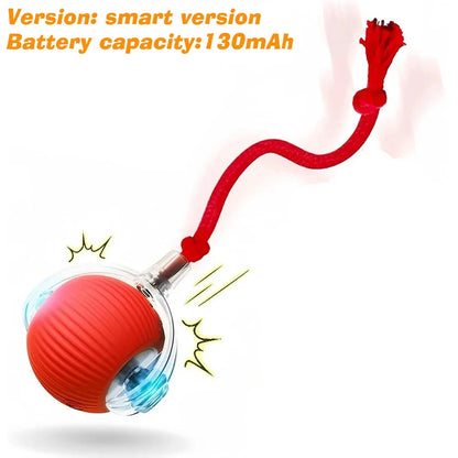 Automatic Rolling Dog Ball Toy.