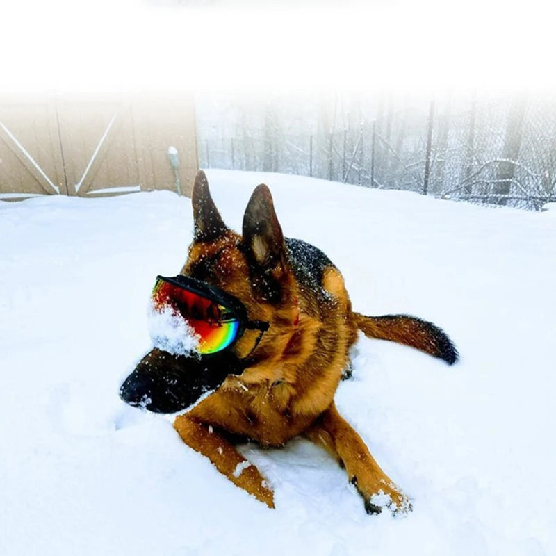 Dog Goggles Anti-UV Sun Glasses,  Eyewear Protection,  Adjustable and Windproof.