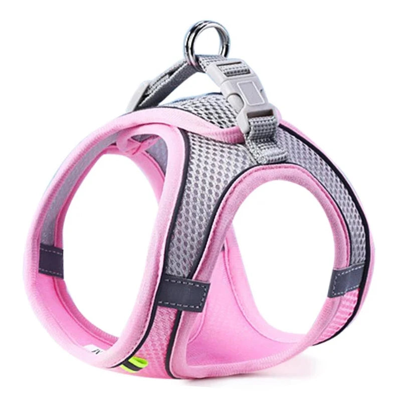 Vest-Style Dog Harness and Leash Set.