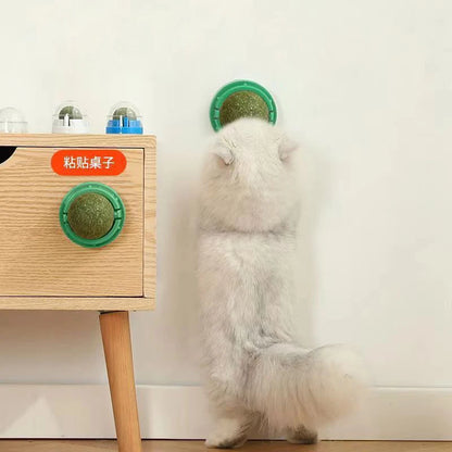 Catnip Cat Wall Stick-on Ball Toy Scratchers.