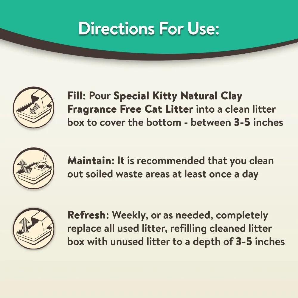 4-Pack Special Kitty Clumping Clay Cat Litter Fresh Scent 20 lbs. Jug.  Odor Control Fast Clumping Cat Sand for all Cats.