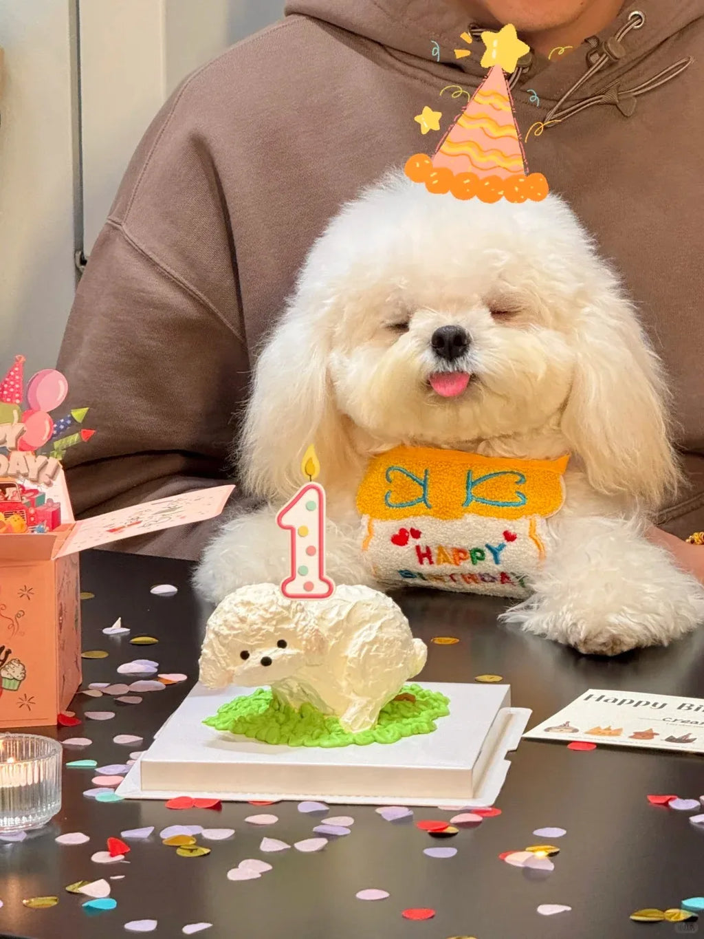 Pet Birthday Outfit for Cats and Dogs are a Birthday Bib and Party Hat.   The Bib is an Adjustable Bandana Scarf for Small Dogs, Puppies and Cats.