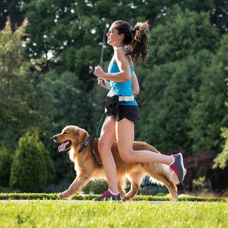 Retractable Dual Dog Leash with Spring Design.  Adjustable Waist Bag with Reflective Stitching for Running, Walking, Hiking and  Cycling for  medium and large dogs.