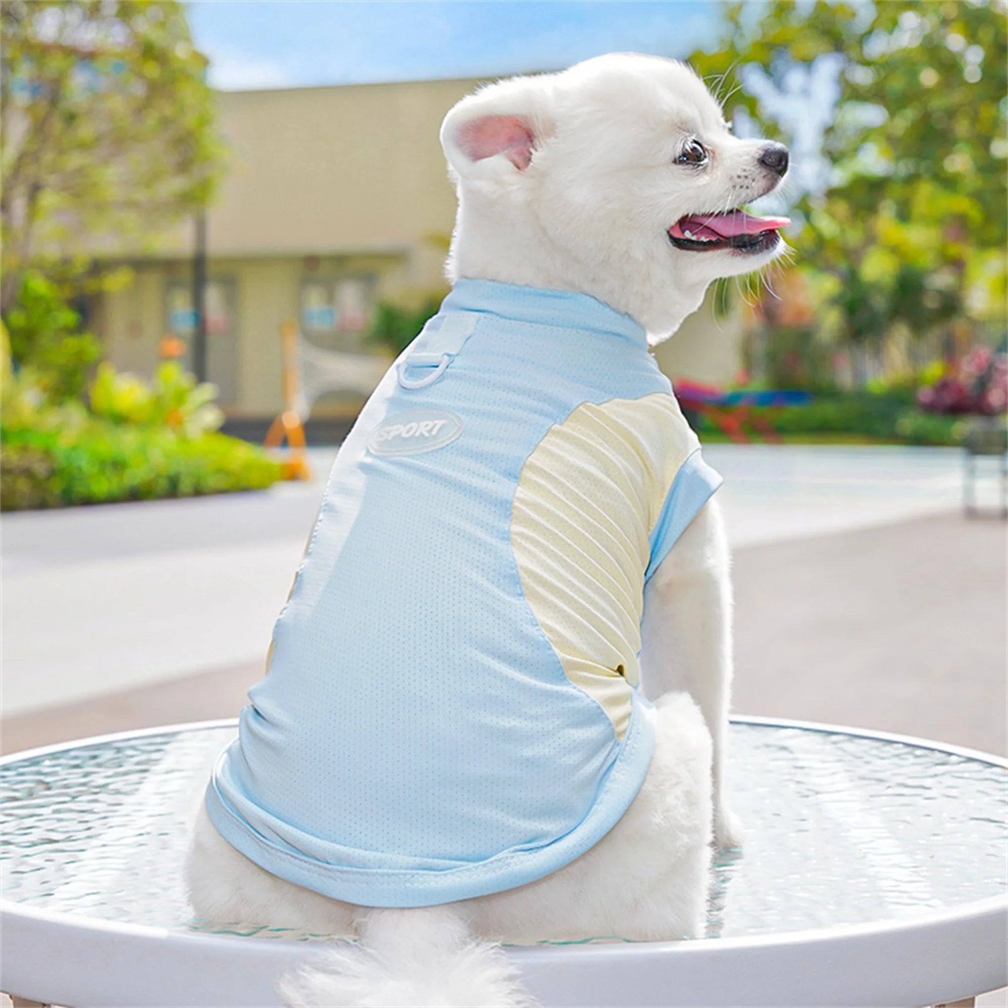 Breathable Cooling Dog T-Shirt with Ice Silk Material for Cats and Puppies - Lightweight and Soft Pet Tank Tops in Contrast.