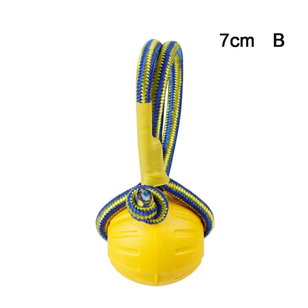 Rubber Ball, Dog Training Chew,  Toy Fetch and Tease Chew Toy.