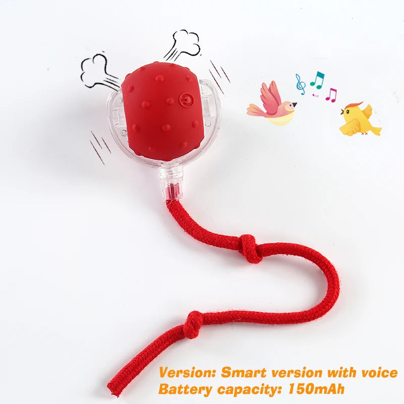 Automatic Rolling Dog Ball Toy.