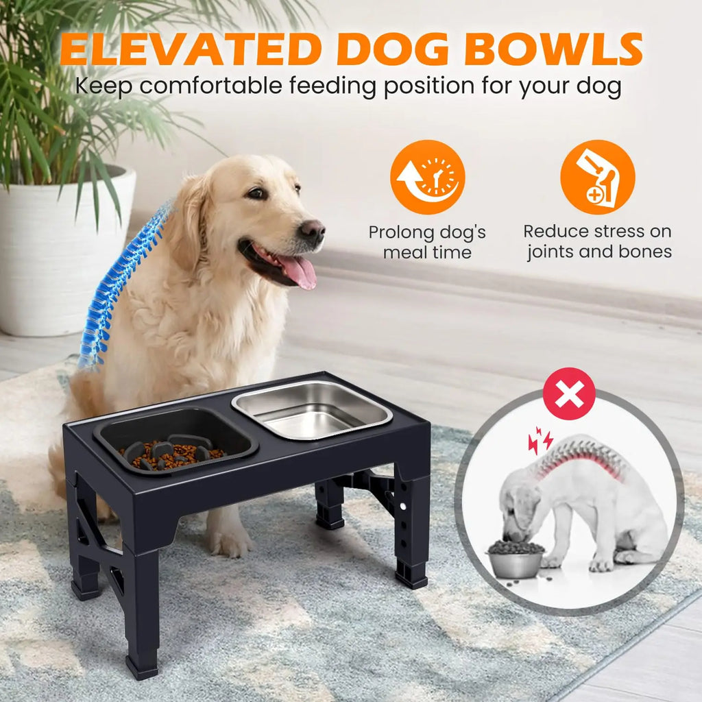 Elevated Dog and Cat Bowls, Stainless Steel/Plastic/ Pet Food & Water Bowls with Foldable Stand.