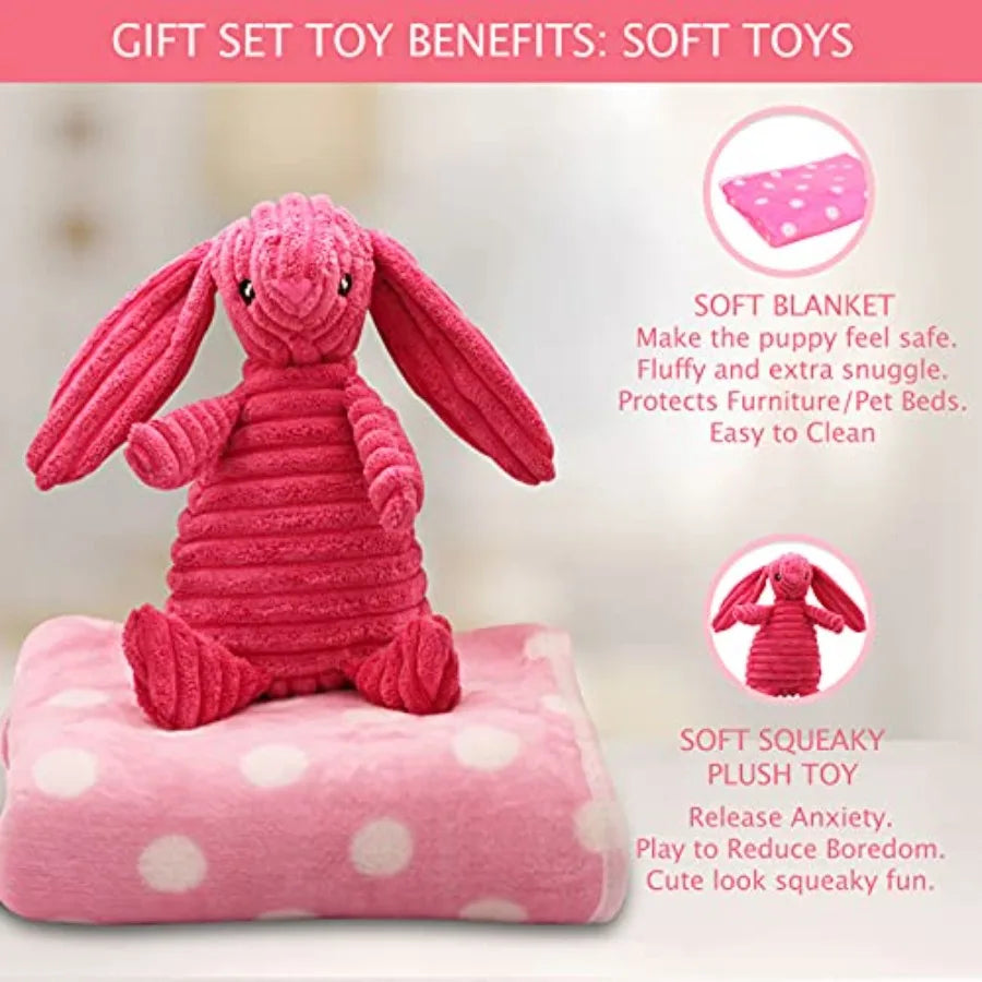 Puppy Starter Kit 5 Piece Toy Gift Set for Small Dogs:  Blanket, Squeaky Plush Toy, Chew Ring, Treat Ball and Feed Ball.