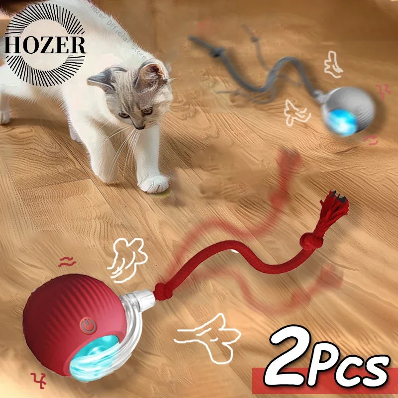 2Pcs Cat Ball Auto Rolling Ball Rechargeable Toy.