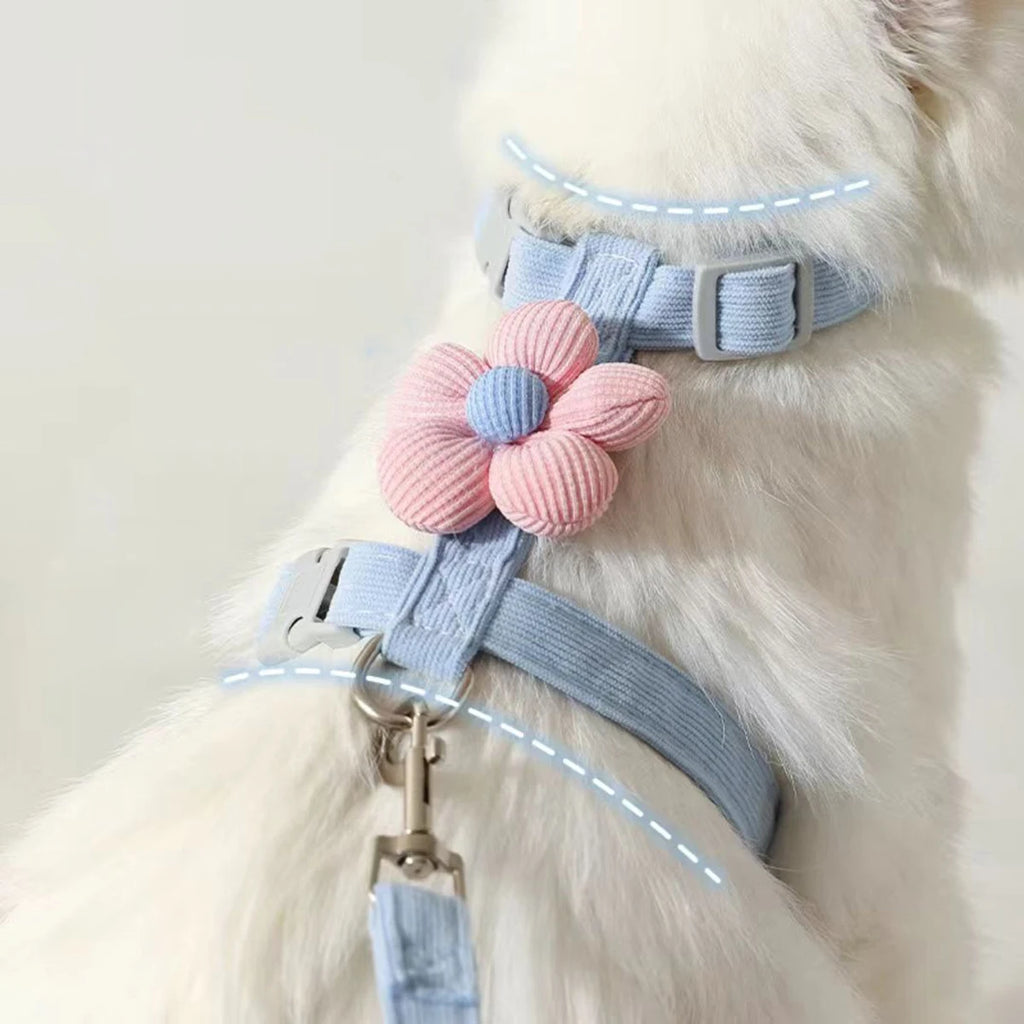 Cat Harness and Leash Set Adjustable, Leash is Breathable. Pet Harness is for Cats and  Small Dogs.