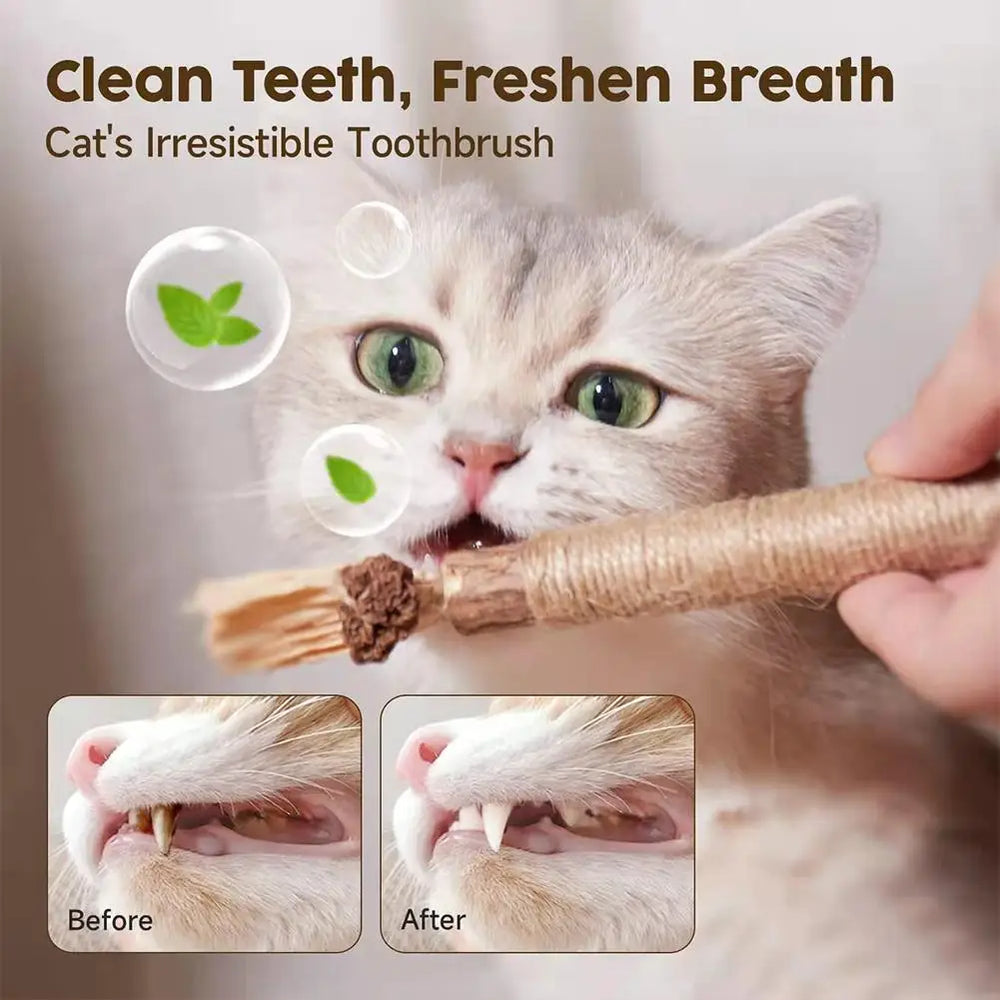 Cat Toys Cleaning Teeth Chew Stick with Catnip.