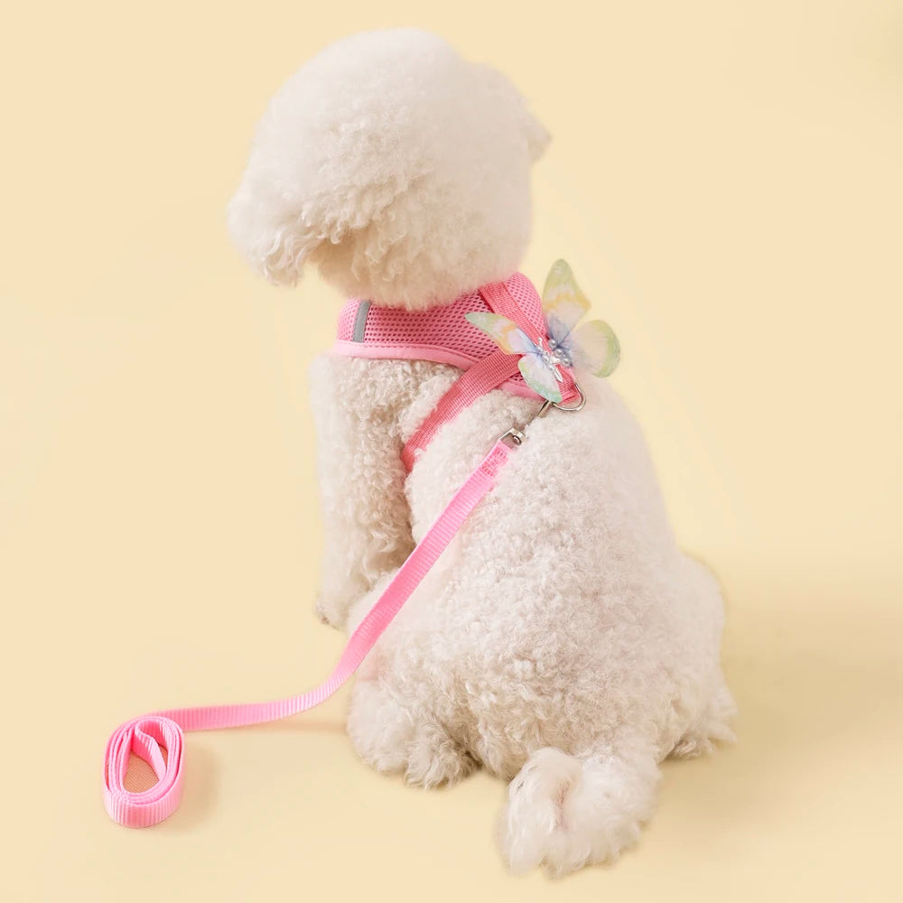Breathable Cat Harness Set Detachable Butterfly.   Small Dog Harness Vest Set with Leash.