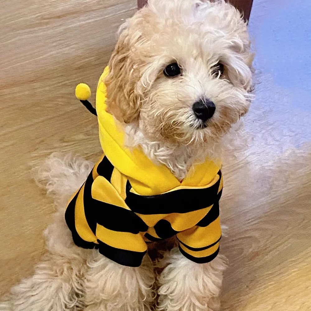Cute Bee Costume for Dogs and Cats.  Warm Pet Sweater Outfit for Halloween and Every Day Wear.