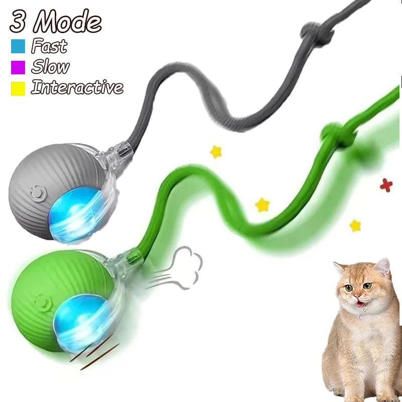 2Pcs Cat Ball Auto Rolling Ball Rechargeable Toy.