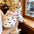 Strawberry Print Small Dog or Cat Summer Dress.