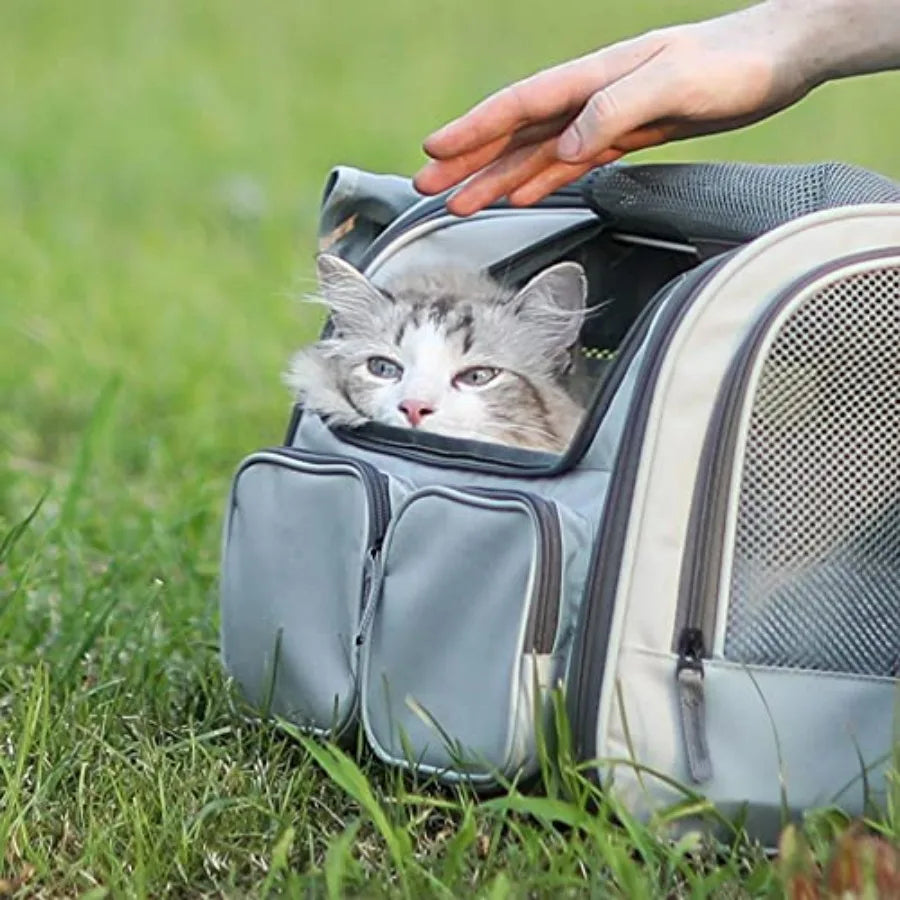 Cat Carrier, Soft-Sided Small Dog Carrier, Large Cat Travel Bag with 4 Mesh Windows, Under 15 lb.  Airline Approved Pet Carrier.