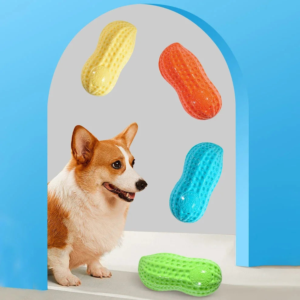 Dog Chew Toy Squeaking Simulation Peanut.