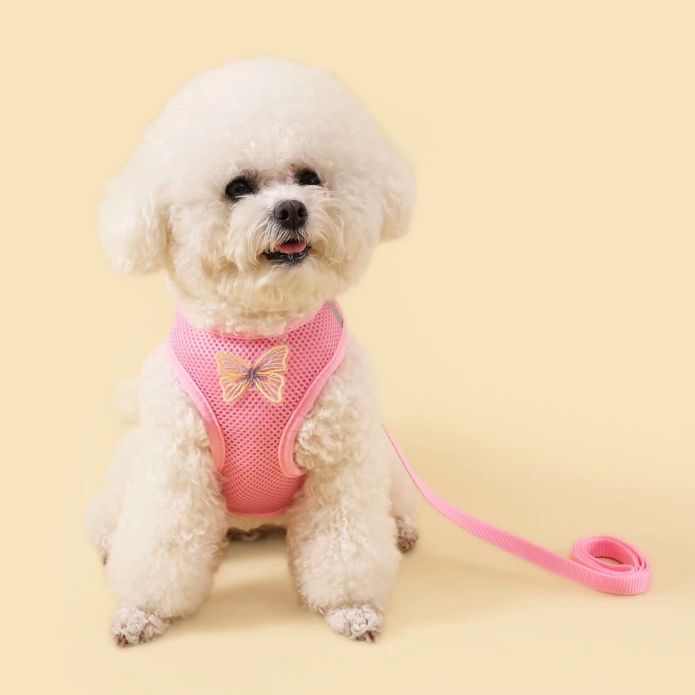 Breathable Cat Harness Set Detachable Butterfly.   Small Dog Harness Vest Set with Leash.