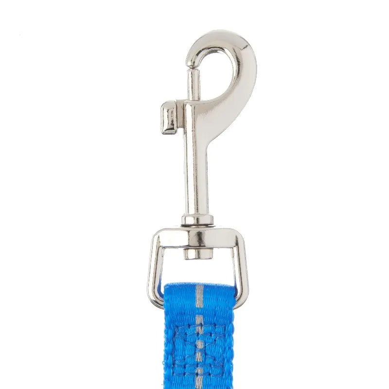 Reflective Polyester Dog Leash, Blue, Medium, 5 Feet