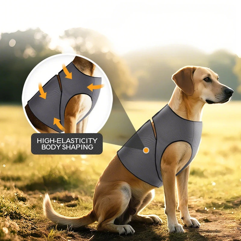 Dog Calming Vest & Shirt, Anxiety Relief Coat & Summer Chest Harness.
