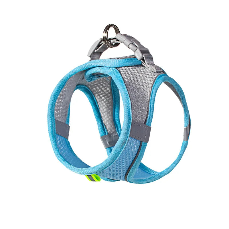 Puppy Collar and Leash Set,  Adjustable for Puppies, Cats and Small Dogs. Comes with Harness Vest.