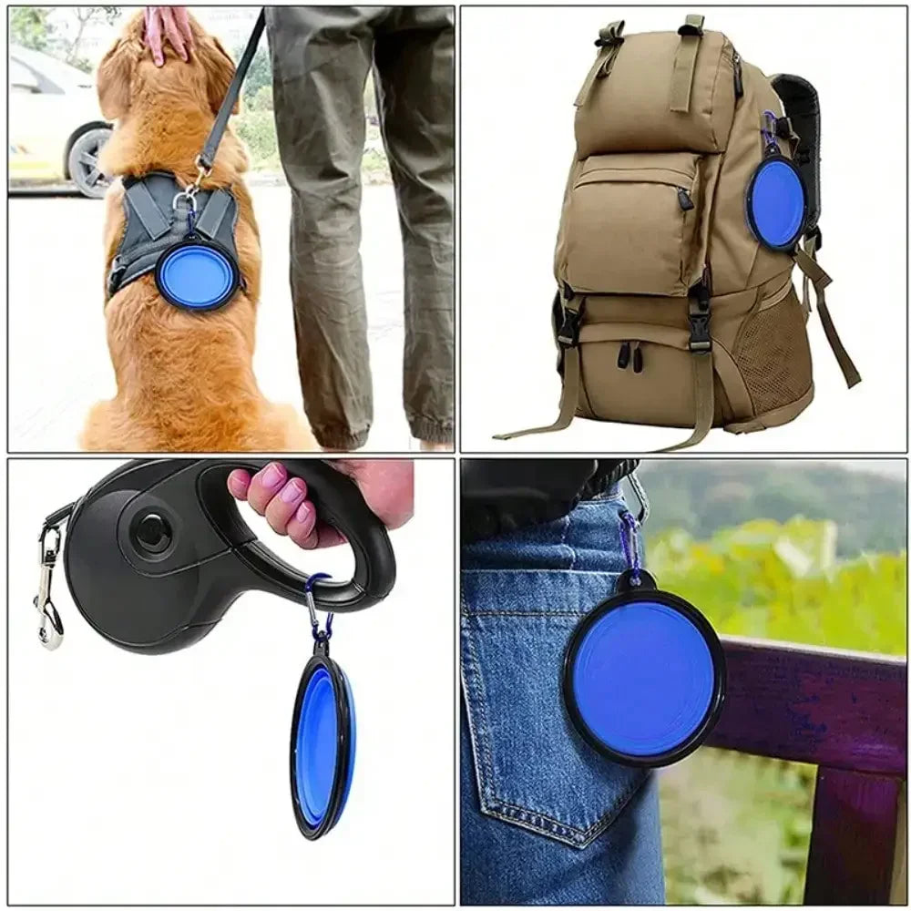 Folding Silicone Dog Feeder Bowl 2 In 1 with Carabiner.