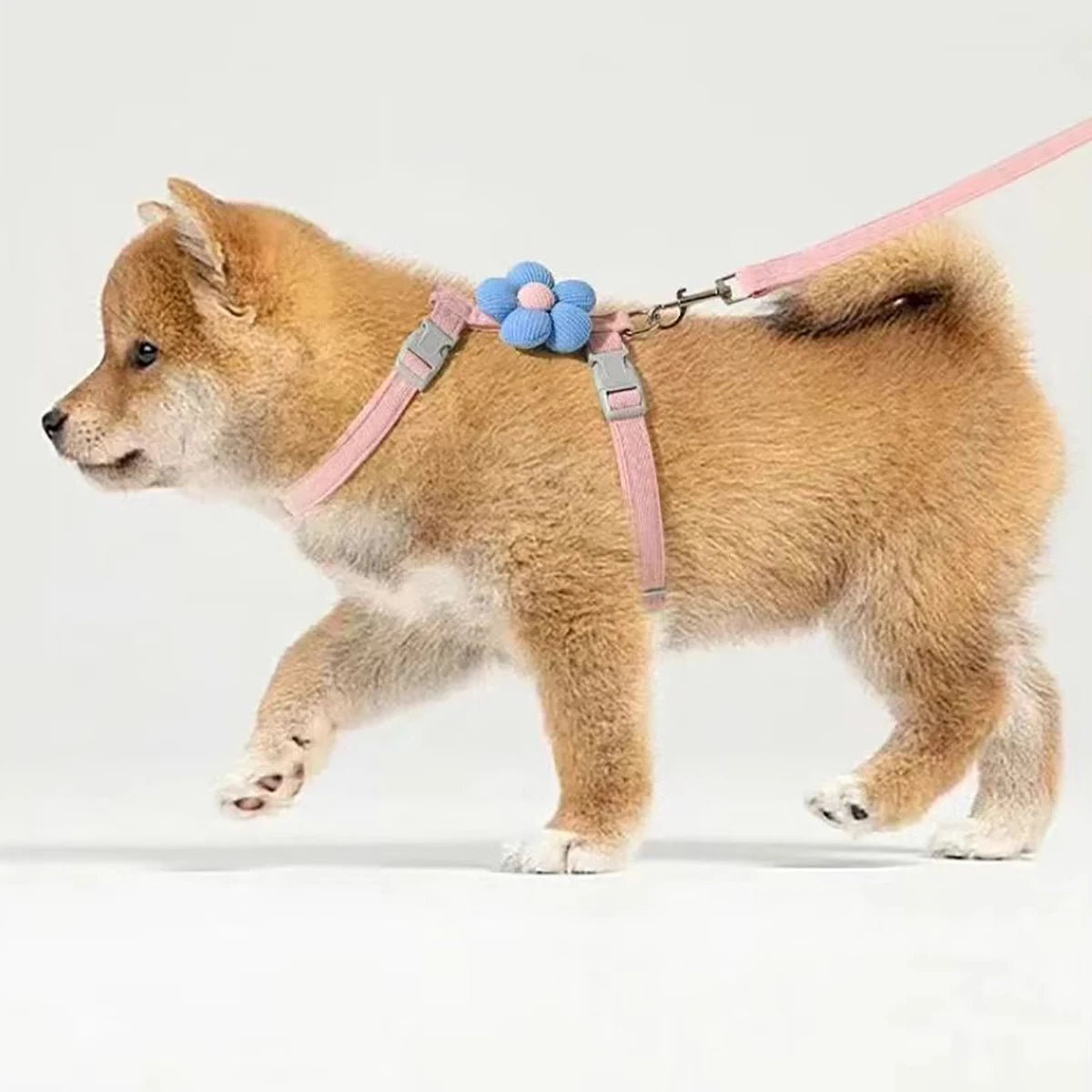 Cat Harness and Leash Set Adjustable, Leash is Breathable. Pet Harness is for Cats and  Small Dogs.