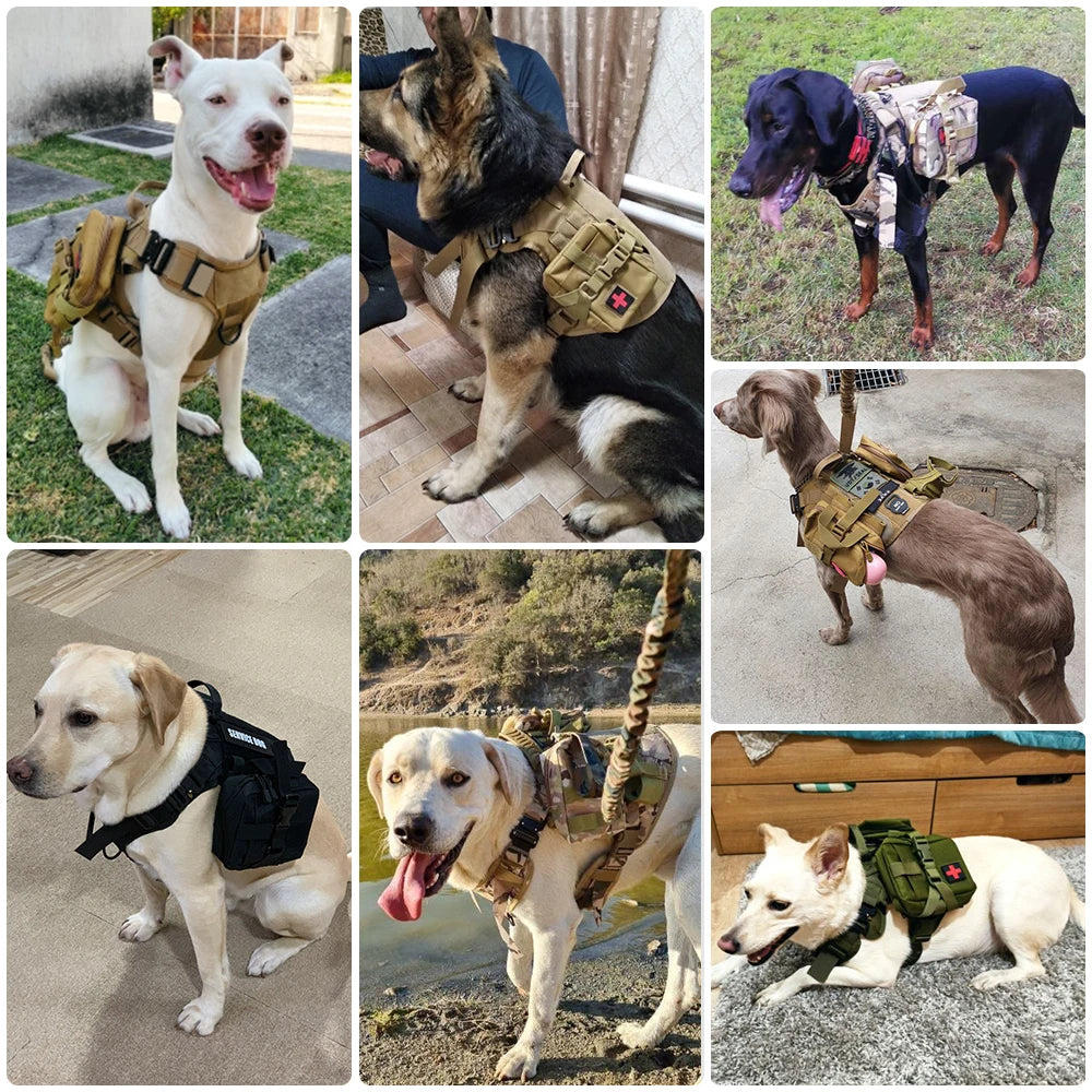 Tactical Dog Harness Leash Set for Large Dogs.