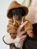 Polyester Warm Basic Hooded Sweatshirt Suitable for Indoor and Outdoor Cats and Dogs.