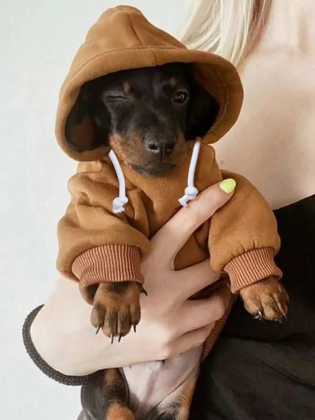 Polyester Warm Basic Hooded Sweatshirt Suitable for Indoor and Outdoor Cats and Dogs.