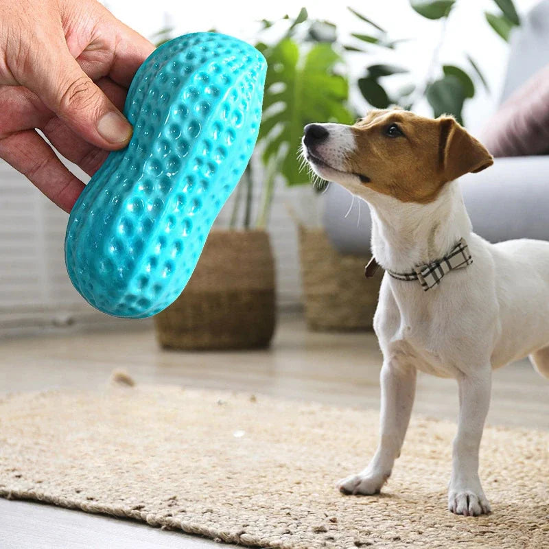 Dog Chew Toy Squeaking Simulation Peanut.