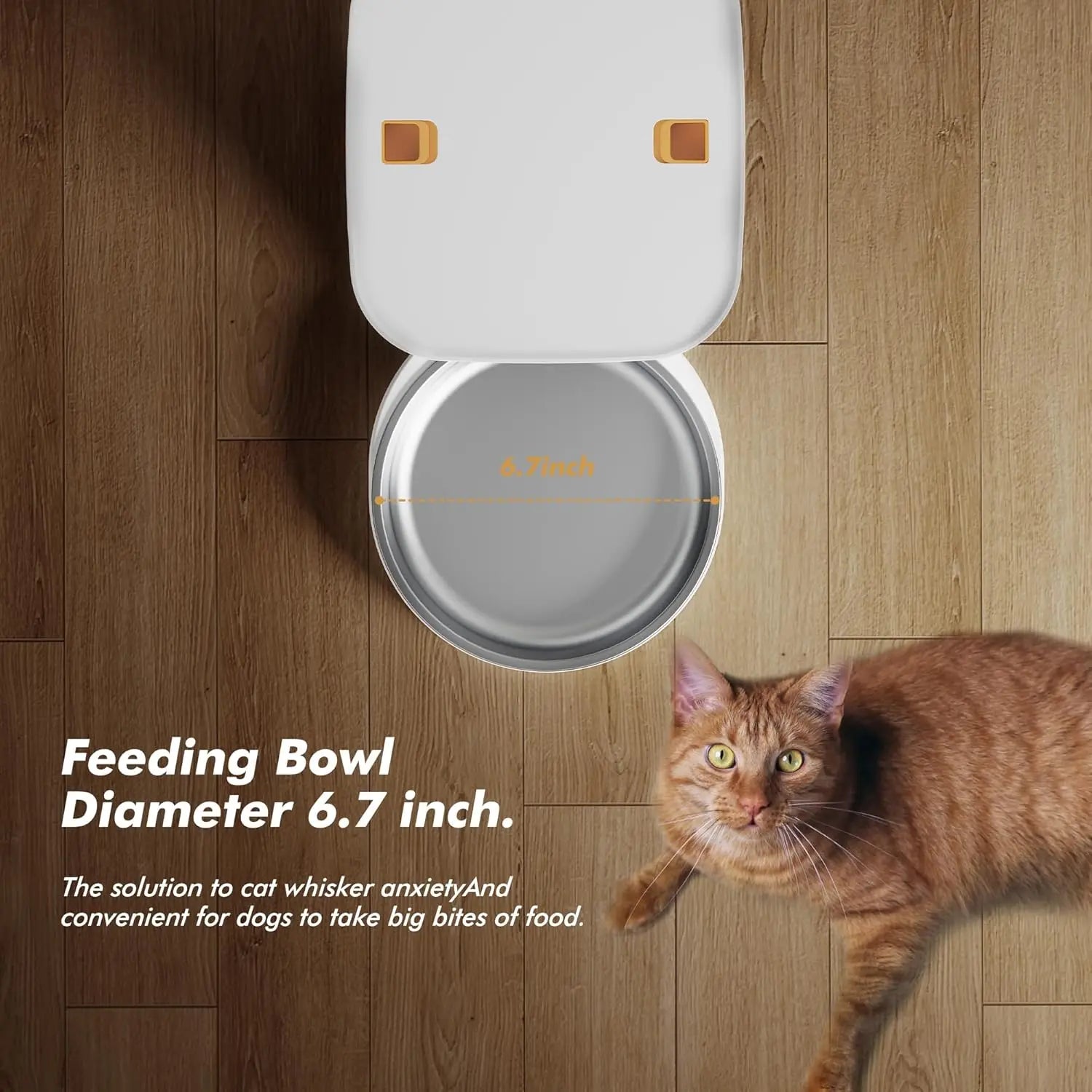 8 L Automatic Cat Feeder, Smart Pet Food Dispenser with Key Control, Voice Recorder, Dual Power Supply, Timed Auto Dog Feeder with Stainless Steel Bowl.