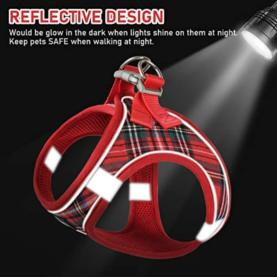 Small Dog Harness Collar and Leash Set.  Step in, No Pull and Soft Mesh.  Adjustable Dog Vest Harness.