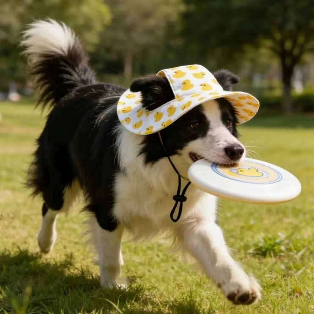 Adjustable Dog Hat Cute Print Cap for Cats, Puppies and Small to Medium Breed Dogs.
