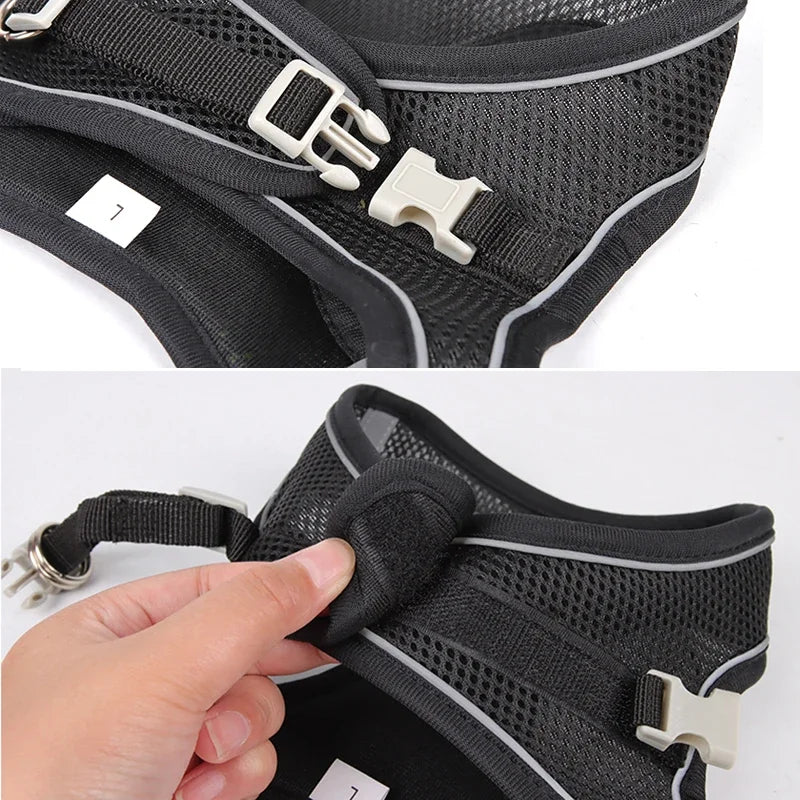 Puppy Collar and Leash Set,  Adjustable for Puppies, Cats and Small Dogs. Comes with Harness Vest.