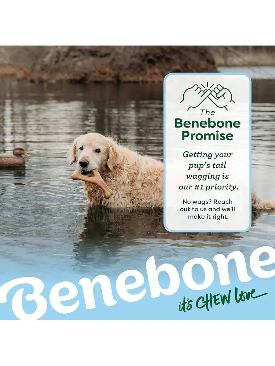 Wishbone Dog Real Duck Flavored Chew Toy For Aggressive Chewers.