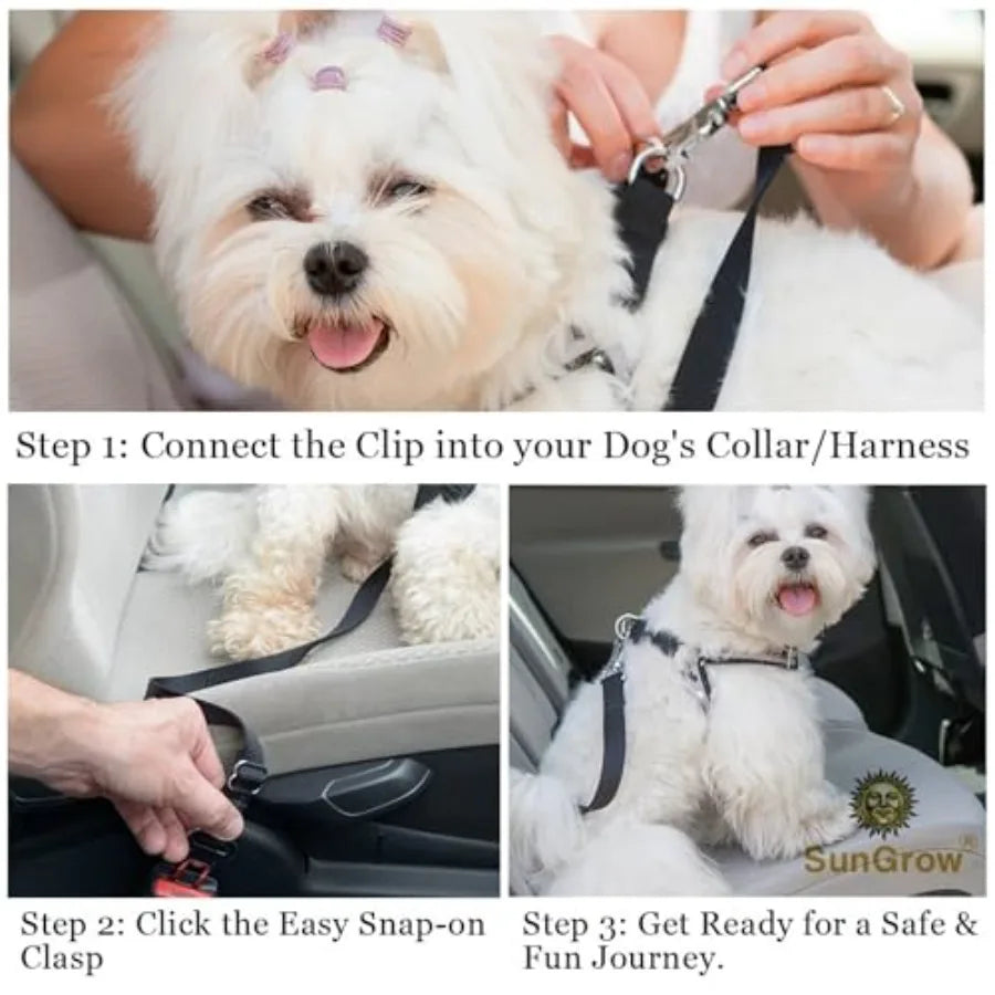 Pet Seat Belts for Car.