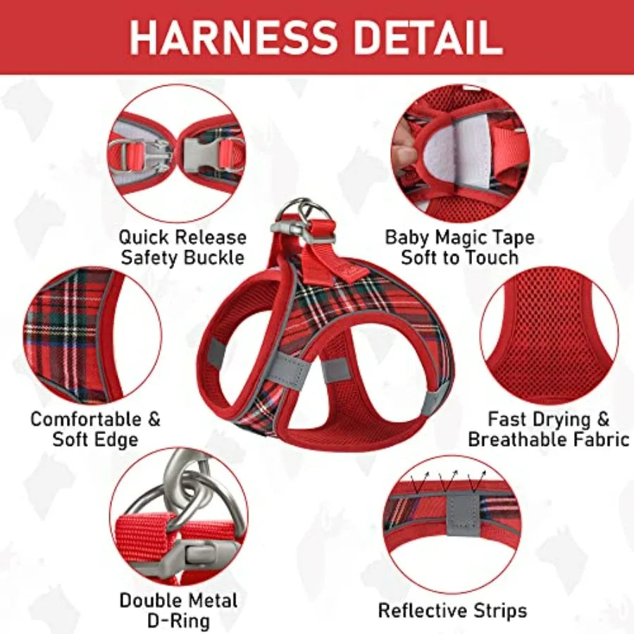 Small Dog Harness Collar and Leash Set.  Step in, No Pull and Soft Mesh.  Adjustable Dog Vest Harness.