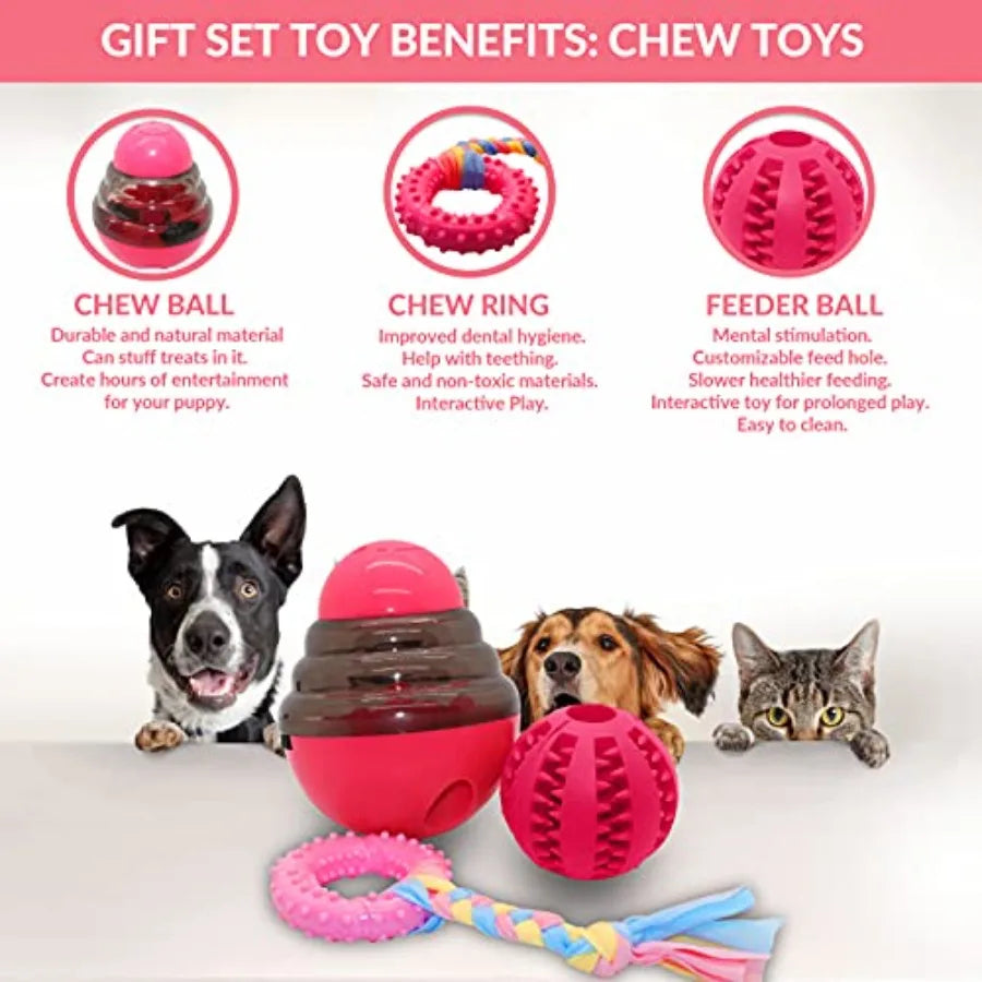 Puppy Starter Kit 5 Piece Toy Gift Set for Small Dogs:  Blanket, Squeaky Plush Toy, Chew Ring, Treat Ball and Feed Ball.