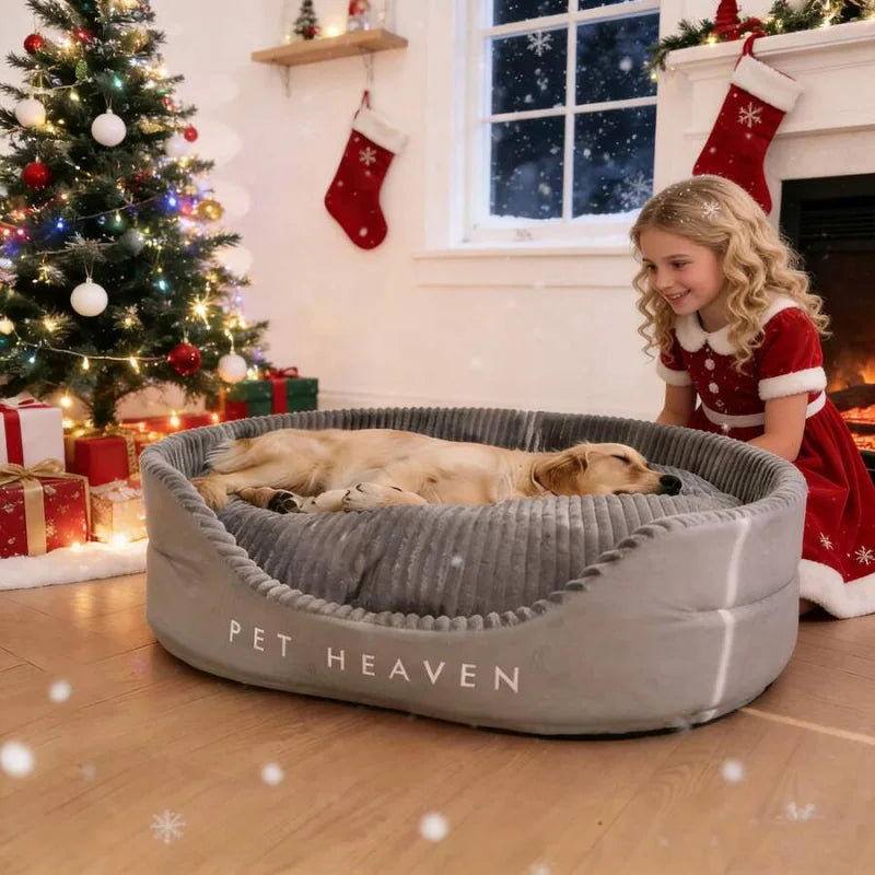 Luxury Dog Bed/Kennel Bed - Plush, Bite-Resistant, Stain-Resistant, Maximum Comfort.