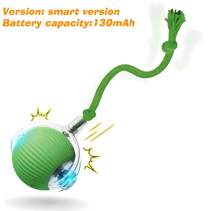 Automatic Rolling Dog Ball Toy.