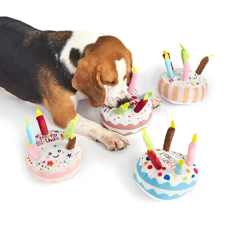 Squeaky Birthday Cake for Dog.